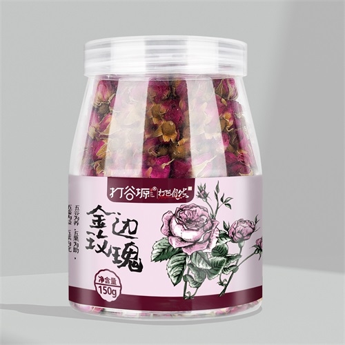 江苏金边玫瑰