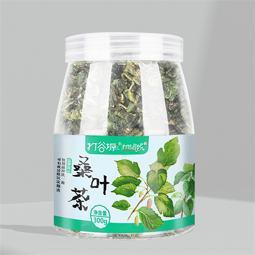 桑叶茶