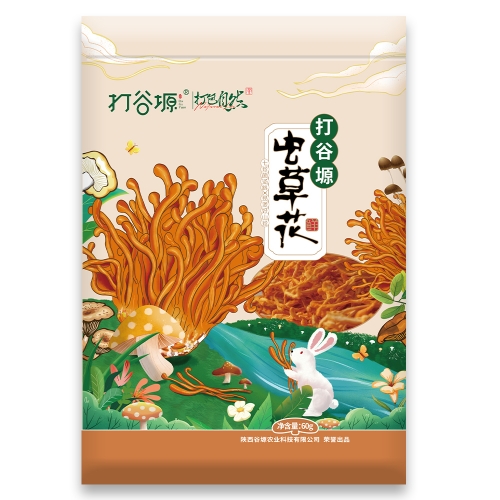 江苏虫草花