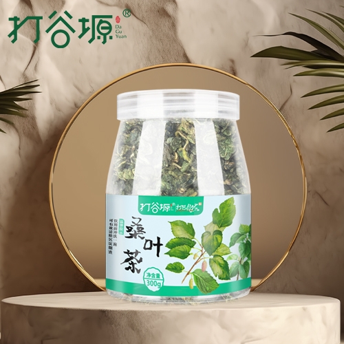 桑叶茶