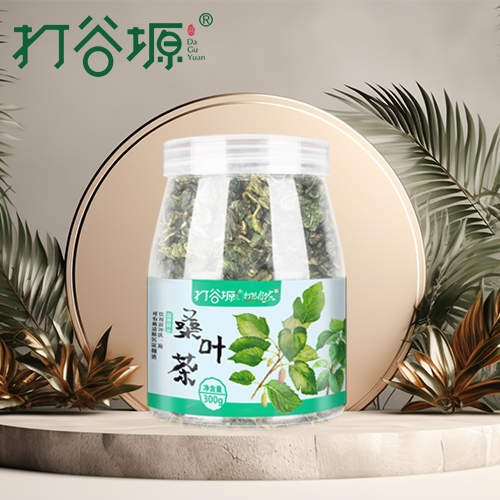 天津桑叶茶