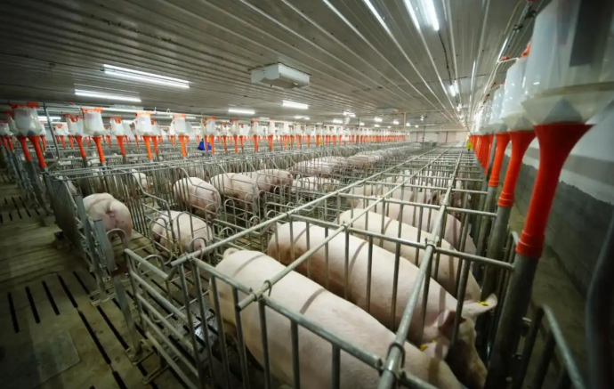 农副产品代加工